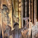 동흥상회 이미지