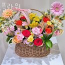 소봄