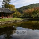 도성일반음식점