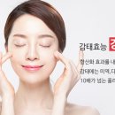 (주)렉스 이미지