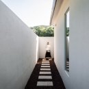 시기공추 이미지