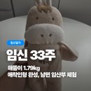 해뜸이야기 | [임신33주차] 해뜸이 1.79kg, 애착인형 완성, 남편의 임산부 체험