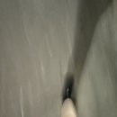 친구야삼치가자