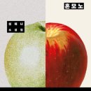 안전지대