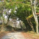 청류민박 이미지