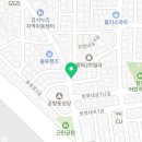 심쿵하개 강아지고양이 분양 강서점 이미지