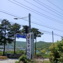 서라벌식당 이미지