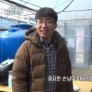 장성 부자새싹인삼