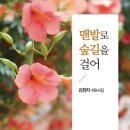 맨발로 숲길로 걸어 - 김정자 시집 / 육일문화사 이미지