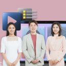이백로 이미지