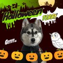 네버슬립독 이미지