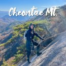 천태산주차장 | 영동 천태산 등산코스 로프 즐기는 원점회귀 꿀잼