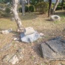 충주북여자중학교 이미지