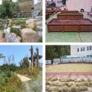 서대구초등학교 이미지