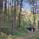 낙조보러가는길 이미지