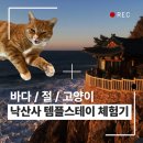 선일자원 | 양양 낙산사 나홀로 템플스테이 휴식형 체험형 / 숙소 / 프로그램