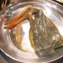 육덕돼지 이미지