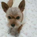 연합동물병원 이미지