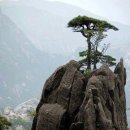 삼거
