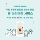 문경축협 동물병원 | 문경강아지분양 포메라니안 데려온 뒤 집 분위기 자체가 달라졌어요