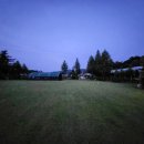 랩도그빌 이미지