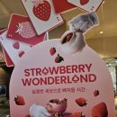 주식회사 케이티(둔산빌딩) | 2025 빕스 딸기 뷔페 원더랜드 지마켓 할인권 90%구매 내돈내산