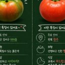 제이제이케터링주 네이버블로그