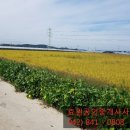 효원공인중개사사무소 이미지