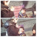 곡성 청소년야영장 이미지