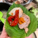 한자리에 오래 자리한곳은 역시 맛집 안산 초지동 [부자족발]