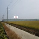 덕진-14 이미지
