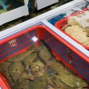 재민네2 이미지