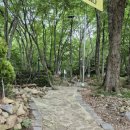 팔영산 자연휴양림 야영장 이미지