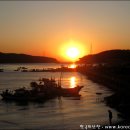 모도 이미지