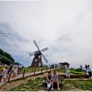 바람의 언덕 이미지