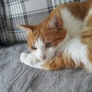 희복농장 이미지