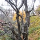 강천산종합관광안내소 이미지