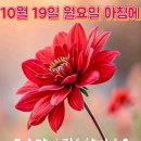 ✨️전기밥솥으로 내맘대로 카레🍛 이미지