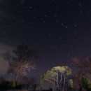 금수산 농원 이미지