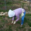 인숙농장 이미지