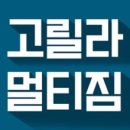 고릴라 멀티짐 네이버블로그
