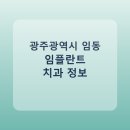 이건웅치과의원 | 광주광역시 임동 임플란트 정보 모음, 치과 링크와 평균 비용 정리