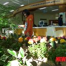 태백시장애인단체총연합회 이미지