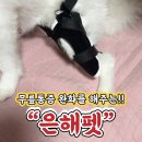 은해보조기 이미지