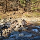 삼척활기자연휴양림 이미지