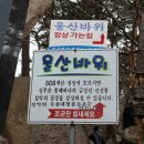 정성디테일링