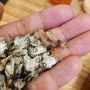 치어스 야탑점 이미지