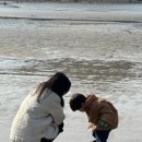 보람세탁 | 크린토피아 어그 슬리퍼 세탁 블랙 라벨 내돈내산 후기