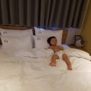 엠에스모텔(MS모텔) 이미지