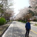 박달재휴양림 이미지